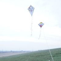 2013_10_17_sarkany_27