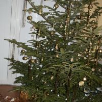 2016_12_24_vianocekomunita01