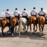 2021_09_14_papez_na_Luniku_21