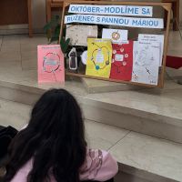 2025_10_Mesiac_november_ruzenec002