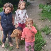 2025_12_31_Maslickovo_2025_03